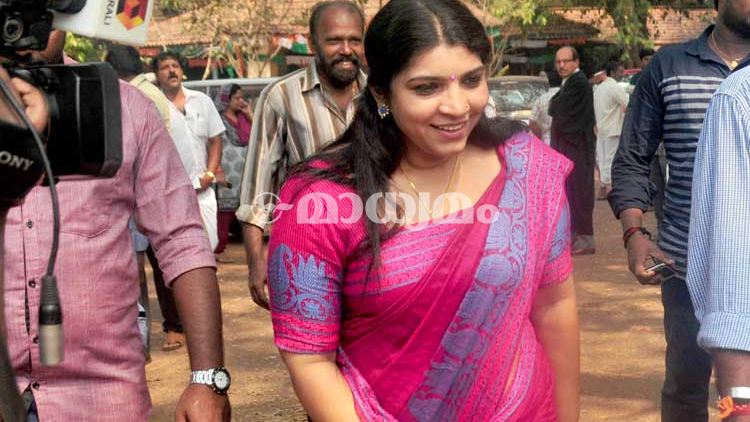 സോളാർ: അന്വേഷണം ഉടൻ ഉണ്ടാവില്ല